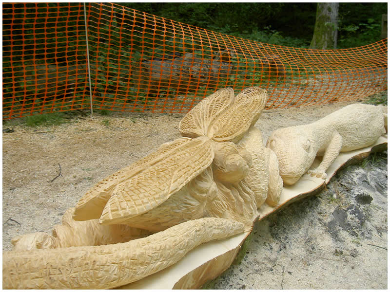 picture of Allensford carving