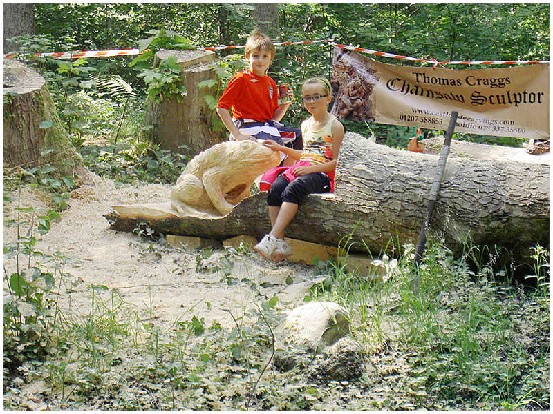 picture of Allensford carving