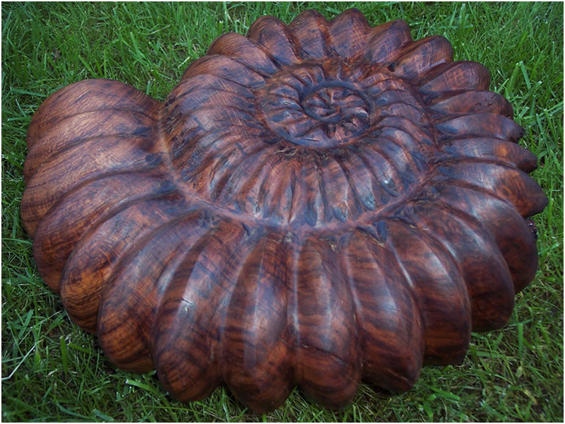 picture of ammonite carving
