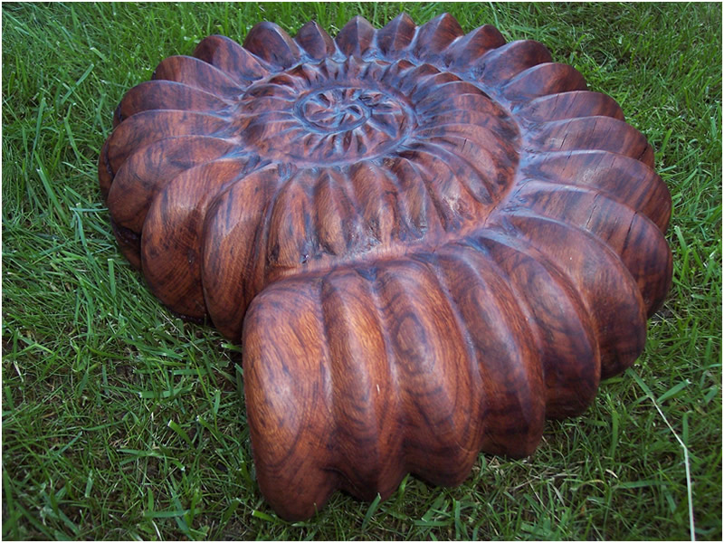 picture of ammonite carving