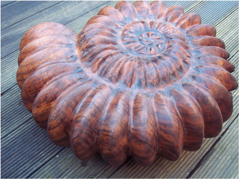 picture of ammonite carving
