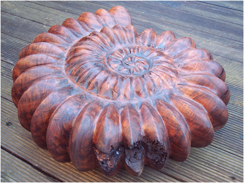 picture of ammonite carving