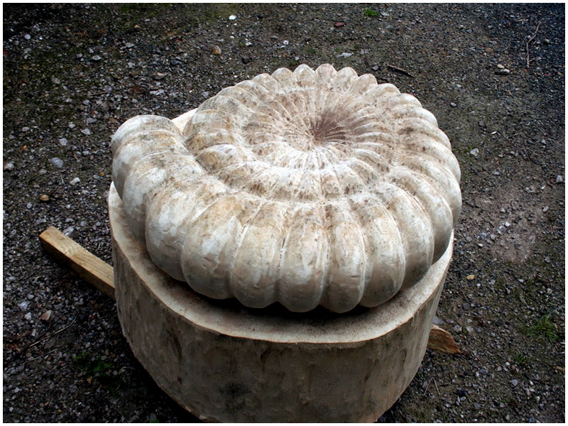 picture of ammonite carving