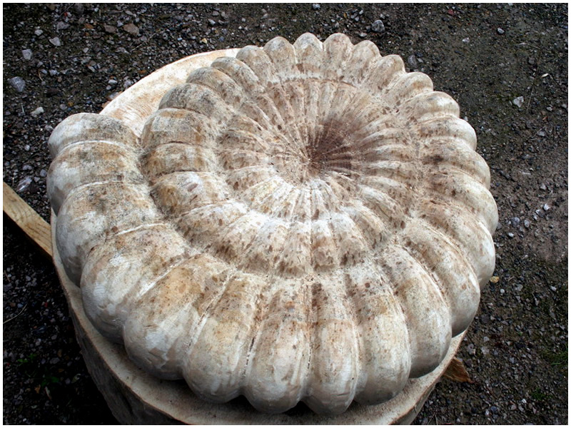 picture of ammonite carving