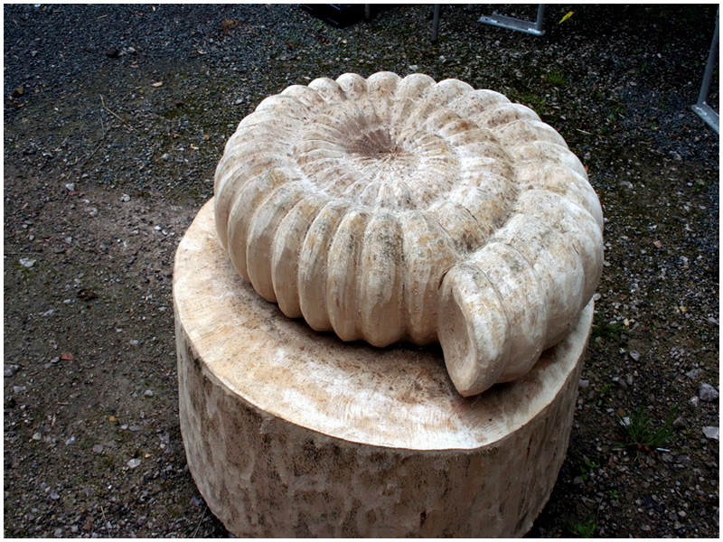 picture of ammonite carving