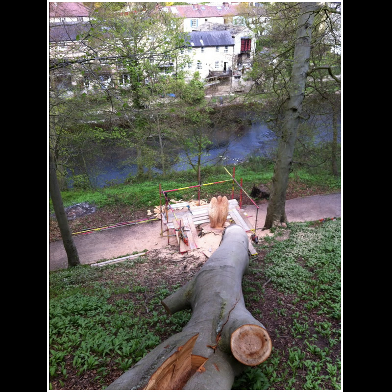 Chainsaw carving