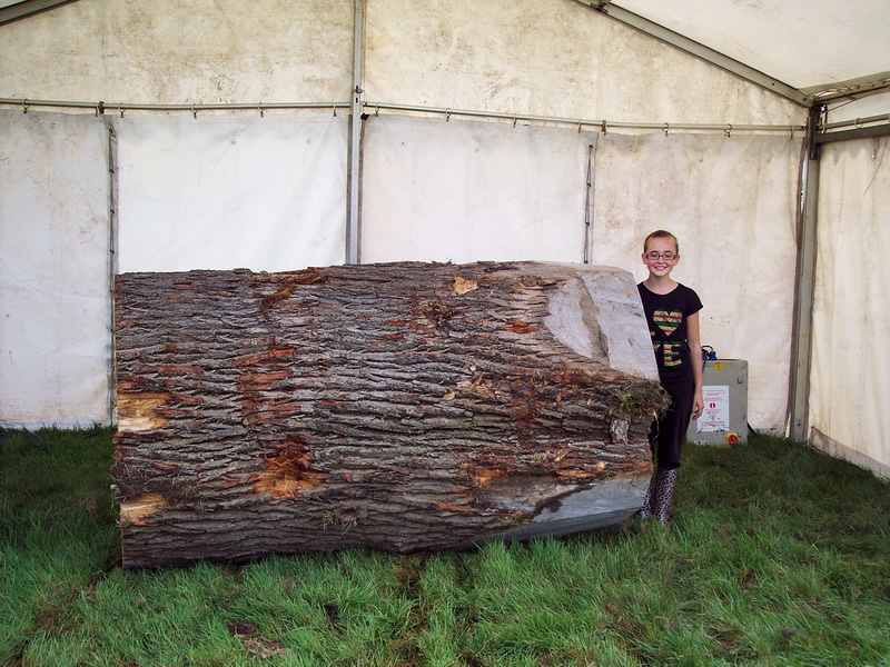 Chainsaw carving