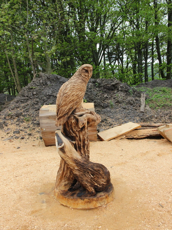 Chainsaw carving