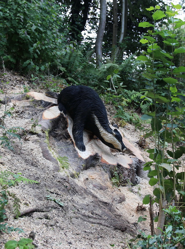 Chainsaw carving