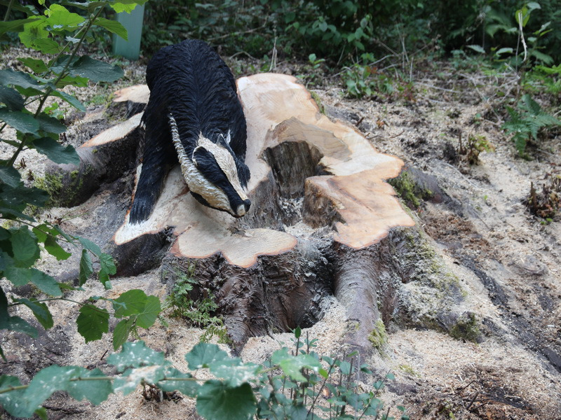 Chainsaw carving