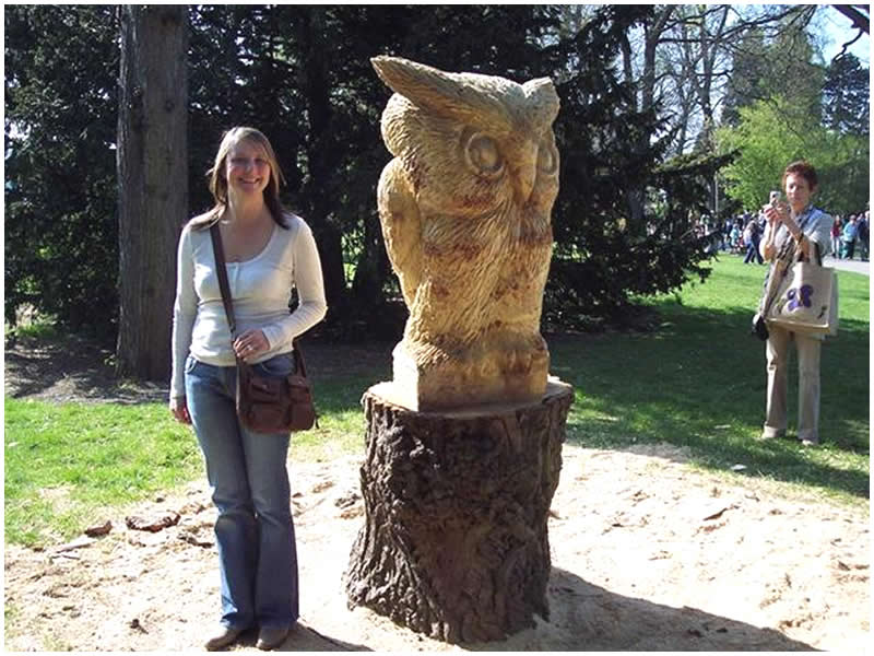 picture of owl carving