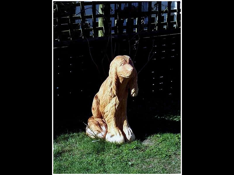 picture of springer spaniel carving