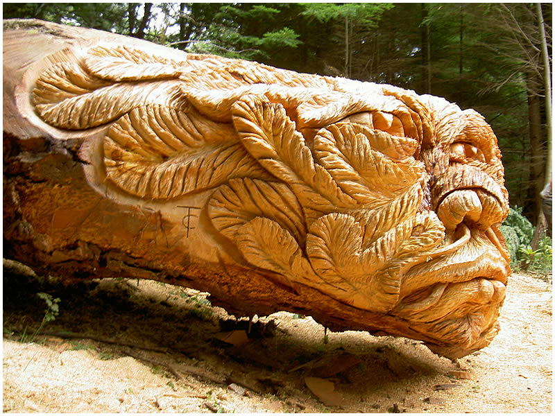 picture of carving