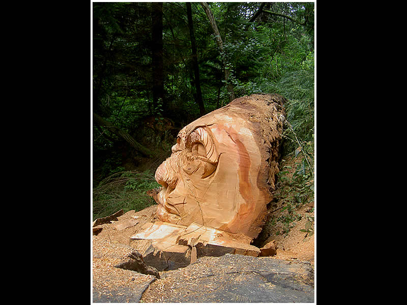 picture of carving