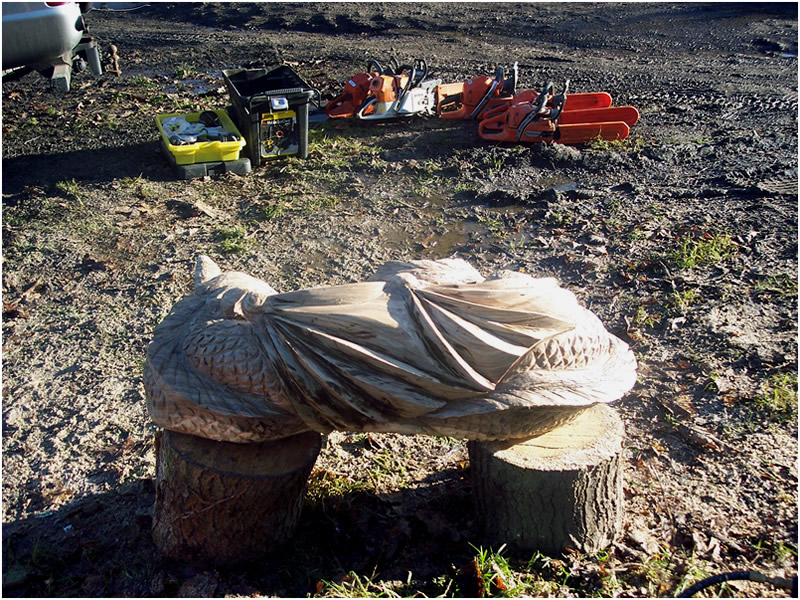 picture of dragons carving