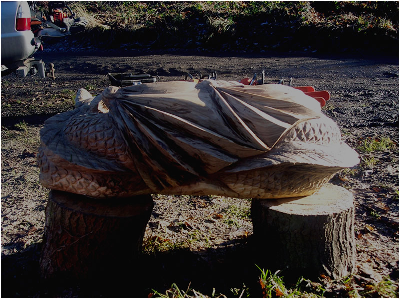 picture of dragons carving