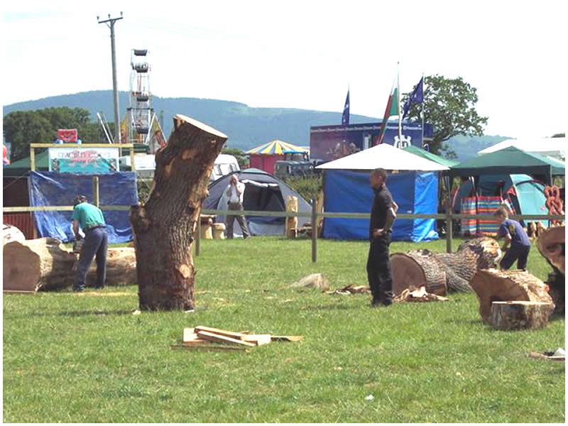 picture of fairy carving