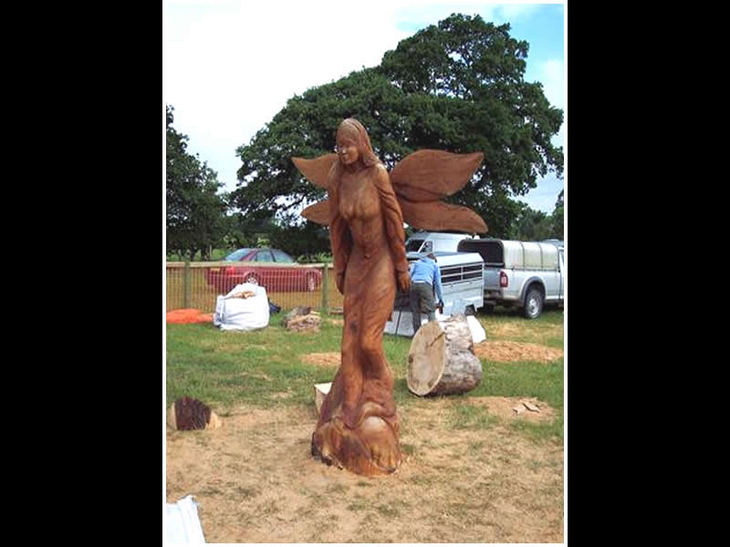 picture of fairy carving