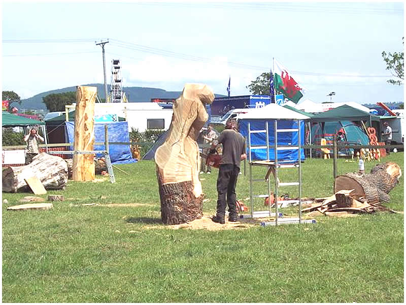 picture of fairy carving