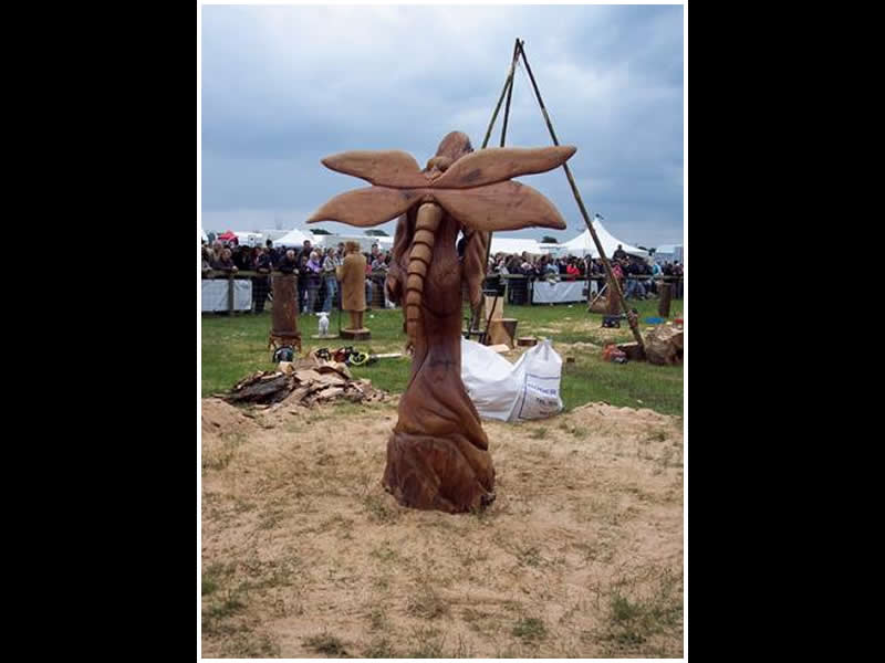 picture of fairy carving