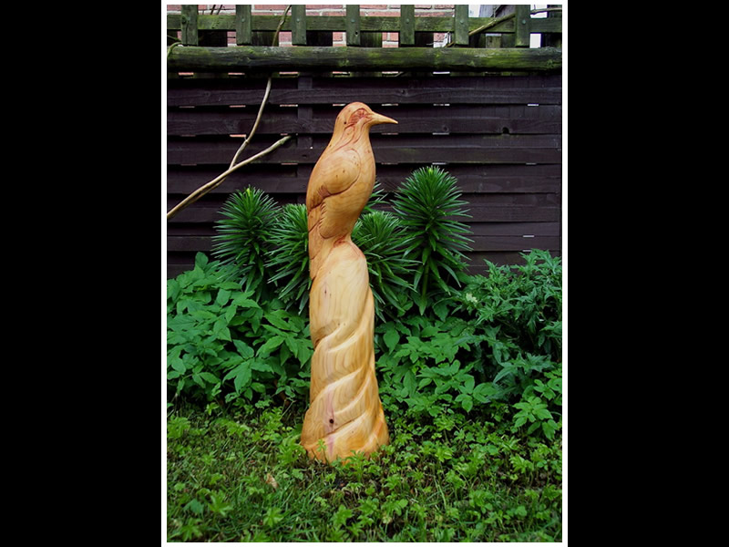 picture of finch carving