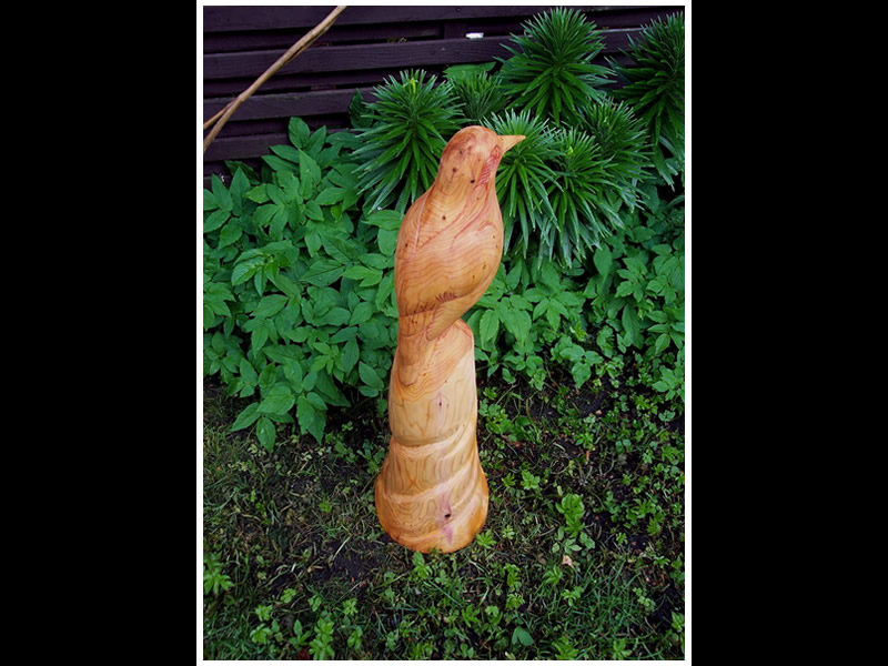 picture of finch carving