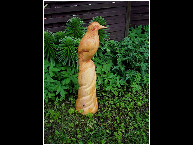 picture of finch carving