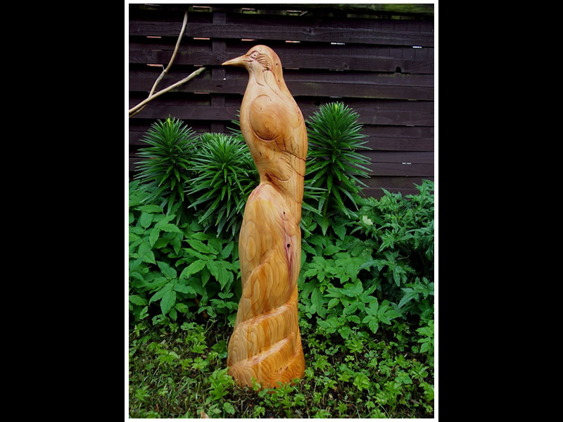 picture of finch carving