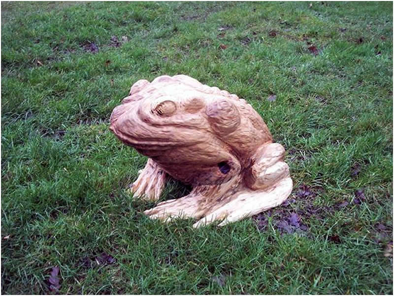 picture of frog and toad carving