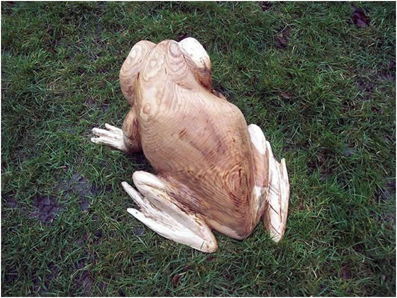 picture of frog and toad carving