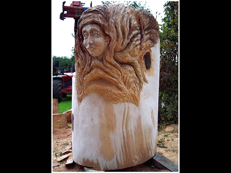 picture of carving