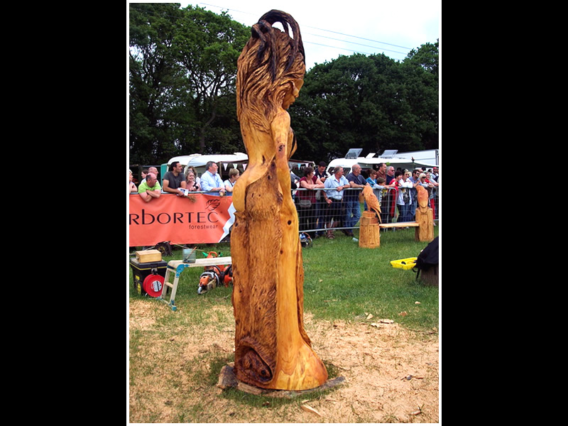 picture of carving