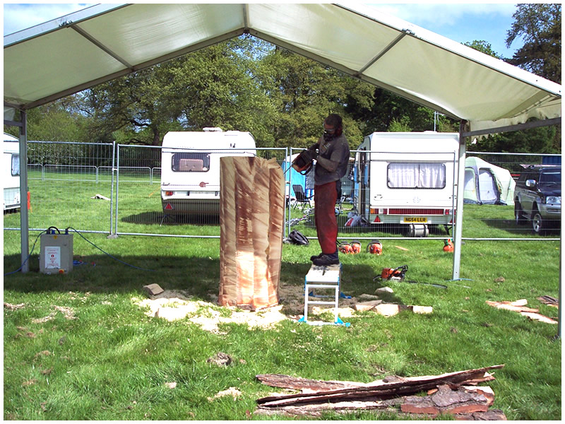 picture of hampshire show