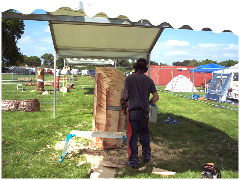 picture of hampshire show