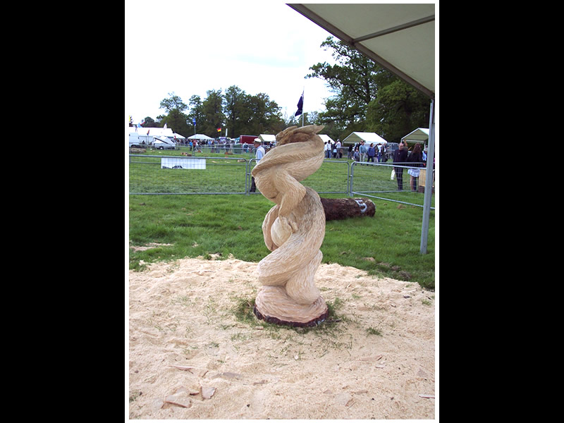 picture of hampshire show