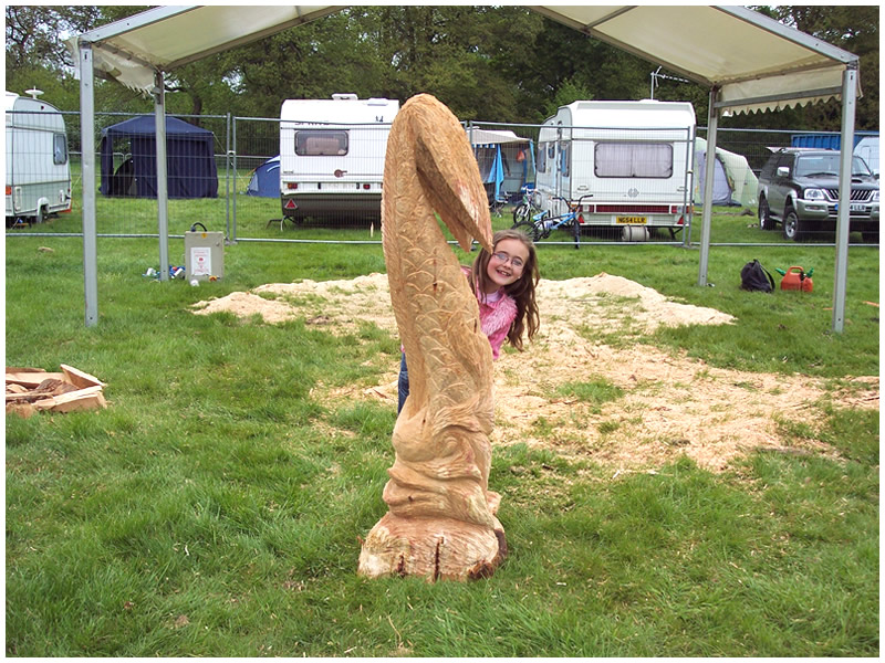 picture of hampshire show