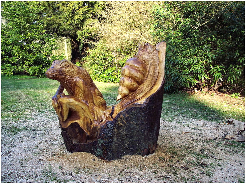 picture of pond carving