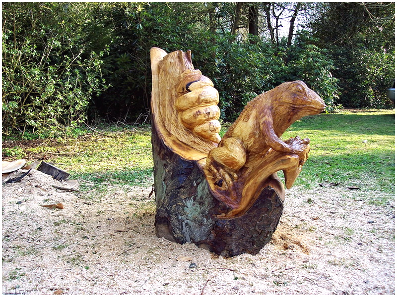 picture of pond carving