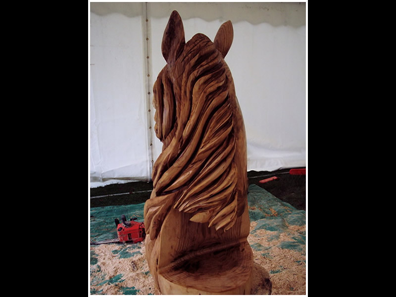 picture of horse bust carving