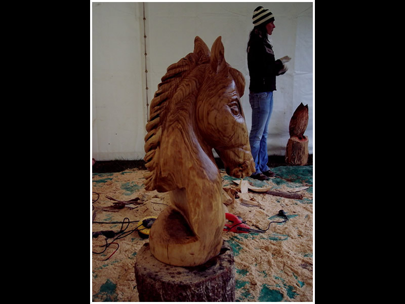 picture of horse bust carving