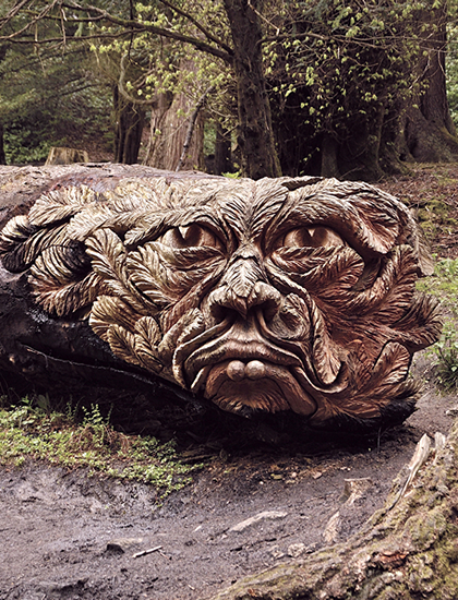 Tommy craggs tree sculpting chainsaw carving Tommy craggs tree sculpting chainsaw carving