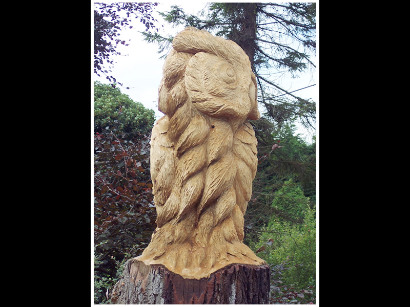 picture of king owl carving