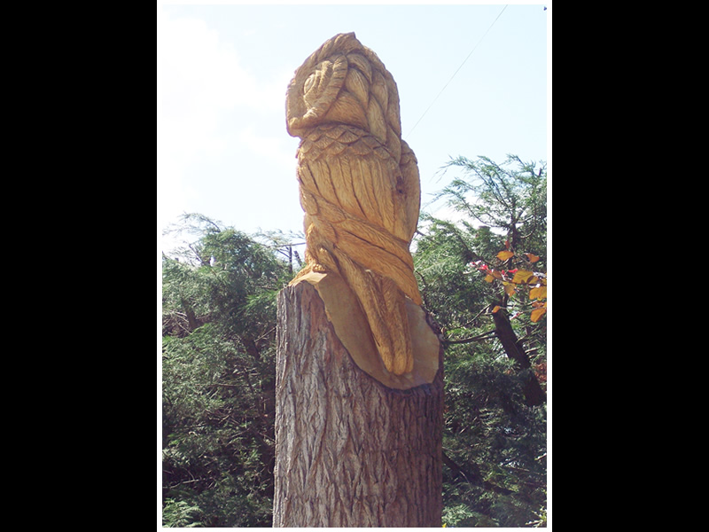 picture of king owl carving