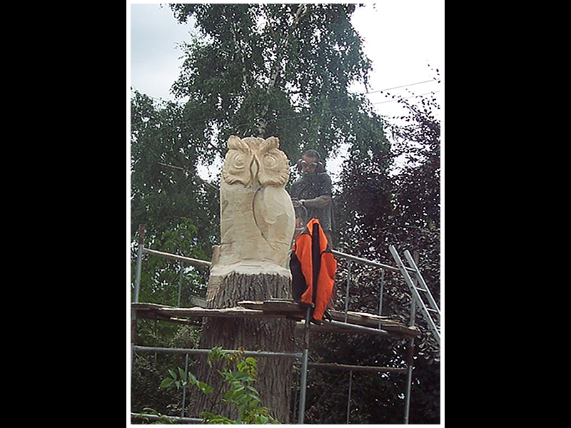 picture of king owl carving