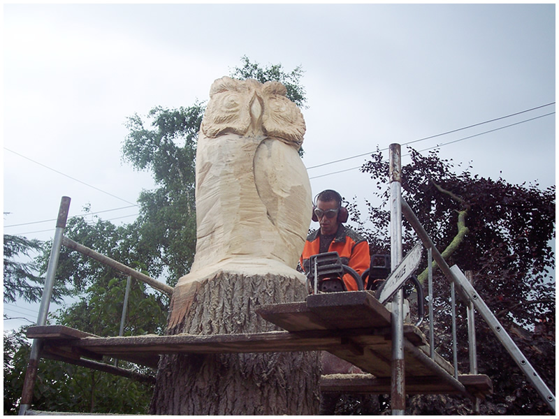 picture of king owl carving