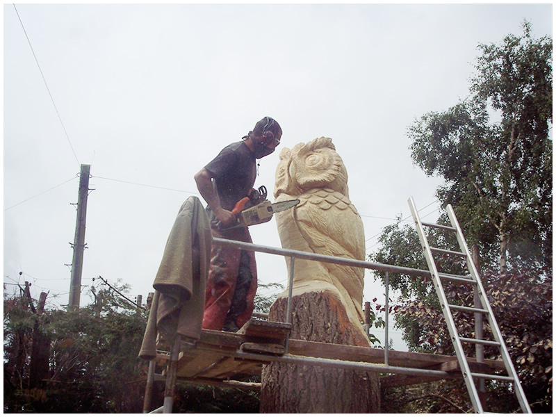 picture of king owl carving