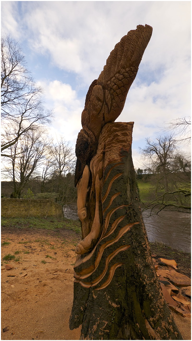 picture of carving