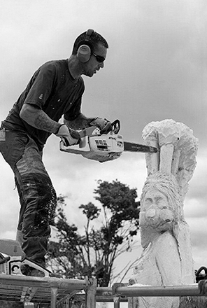 chainsaw carving