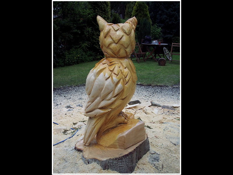 picture of owl carving