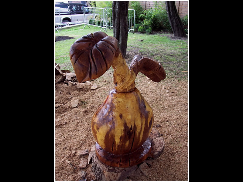 picture of pear carving